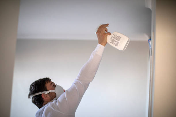 Best White Mold Remediation in Perryton, TX